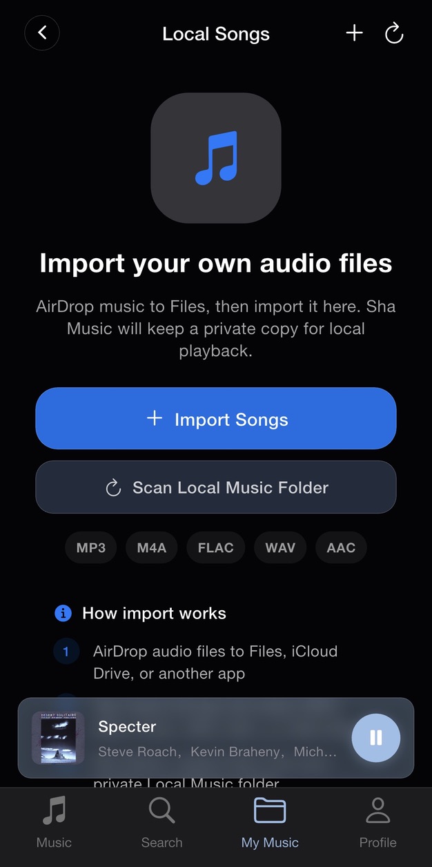 Sha Music local songs screen